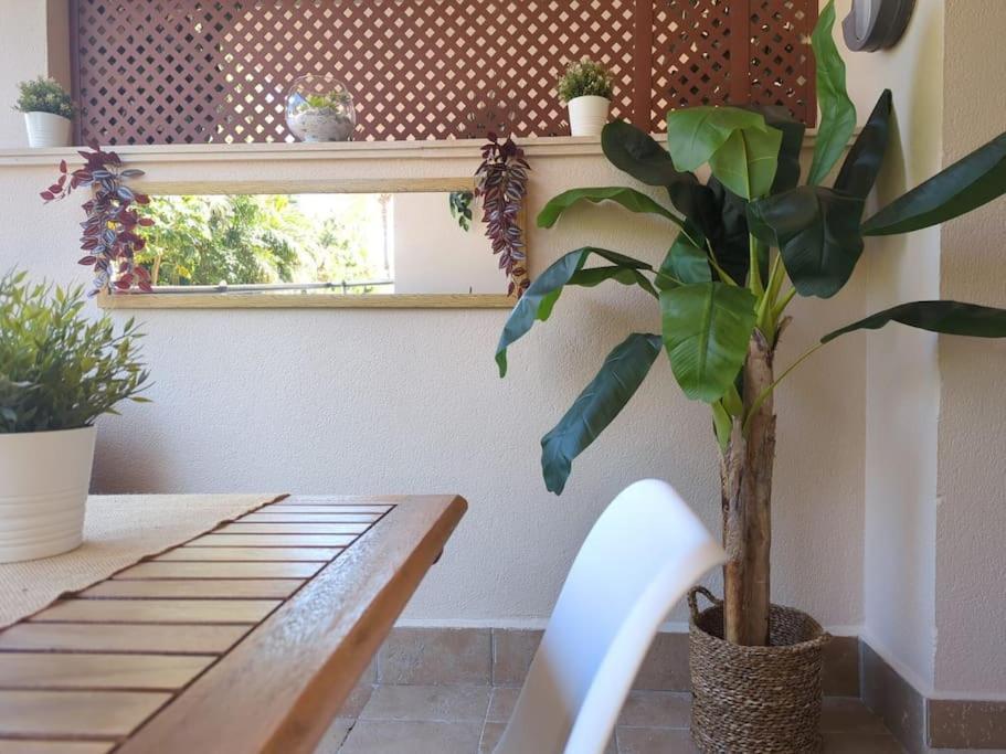 Apartment Noray Playa Seafront, San Pedro De Alcantara Marbella