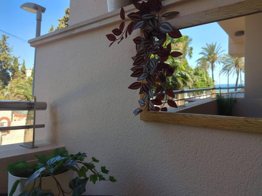 Noray Playa Seafront, San Pedro De Alcantara Apartment *